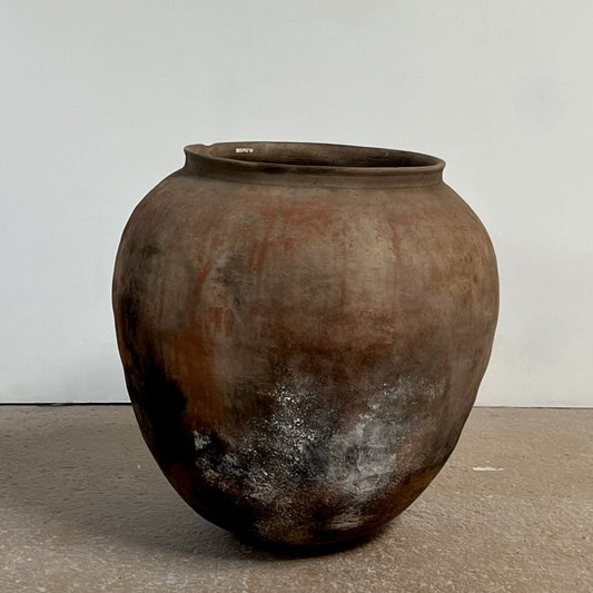 Large Olla, no 6
